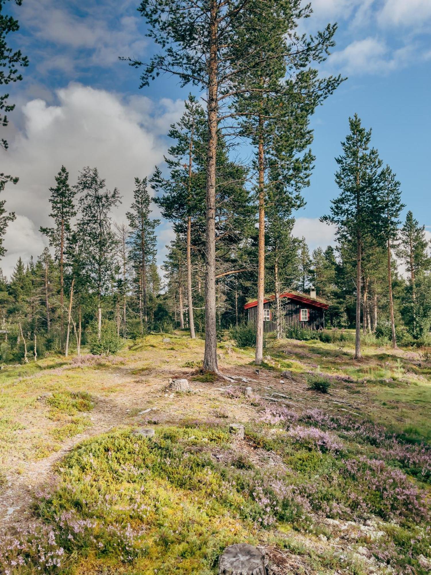 Lodge Ryen - Røros