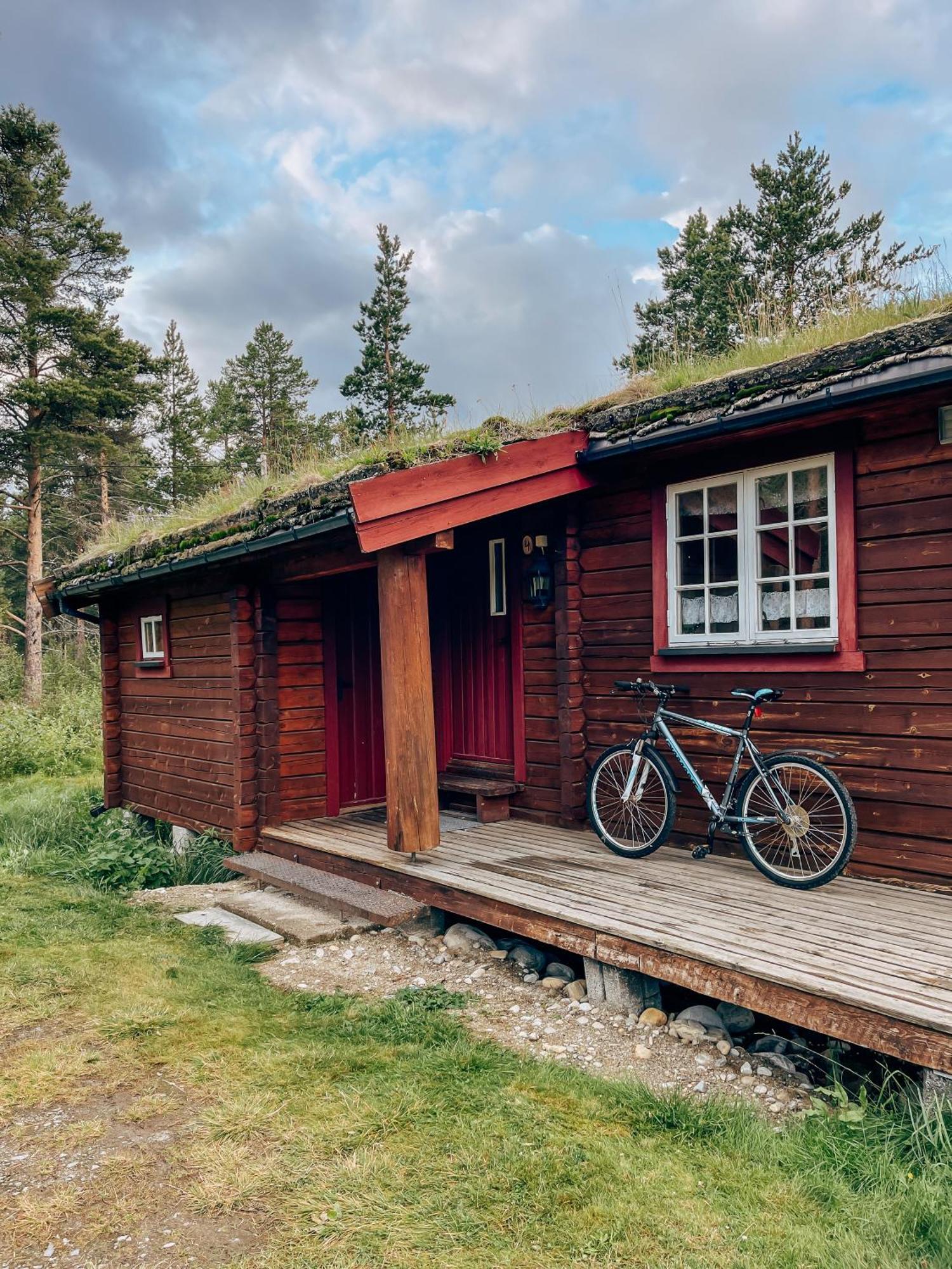 Lodge Ryen - *